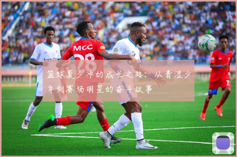 篮球夏少冲的成长之路：从青涩少年到赛场明星的奋斗故事