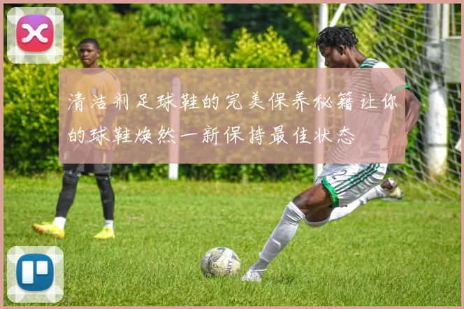 清洁剂足球鞋的完美保养秘籍让你的球鞋焕然一新保持最佳状态