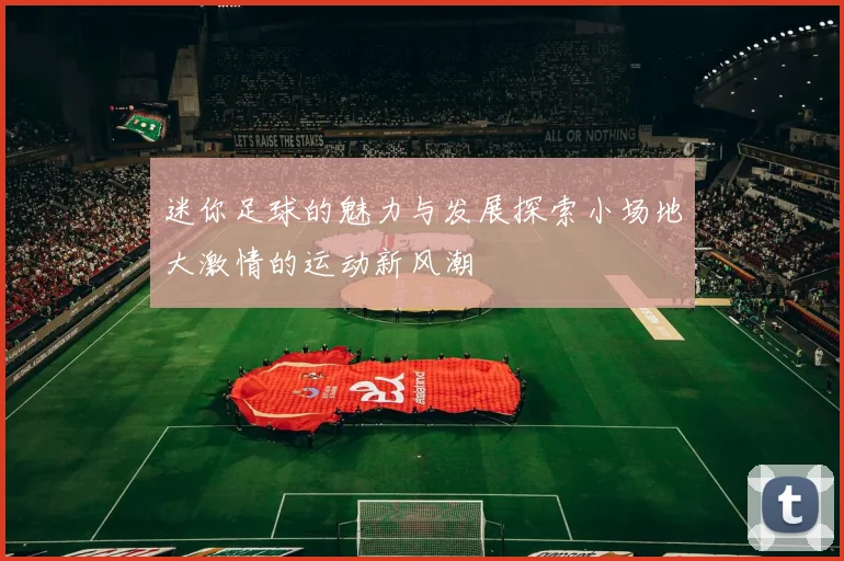 迷你足球的魅力与发展探索小场地大激情的运动新风潮